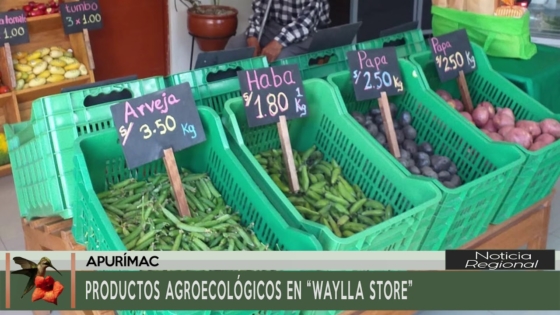 Productos Agroecológicos en “Waylla Store”
